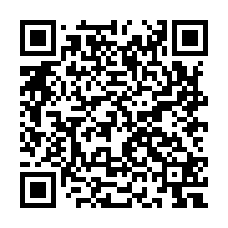 QR code for IGHI20