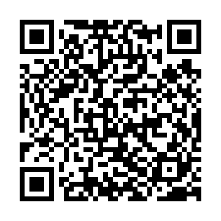 QR code for IHAV20