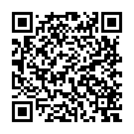 QR code for IHEI49