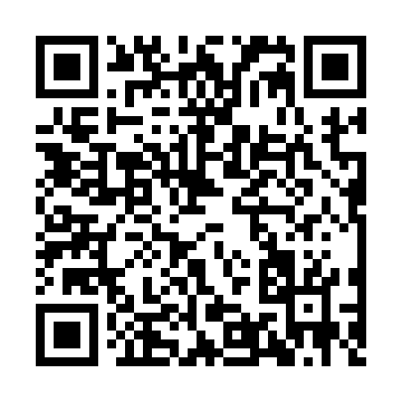 QR code for II317