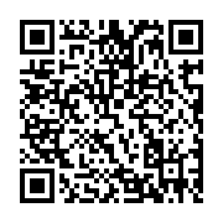 QR code for II494