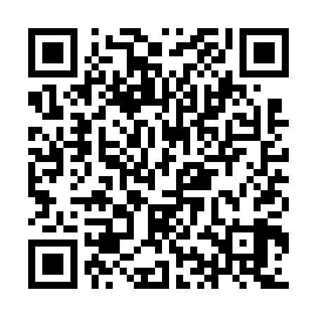 QR code for IIAV09