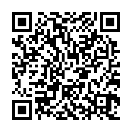 QR code for IIGS20