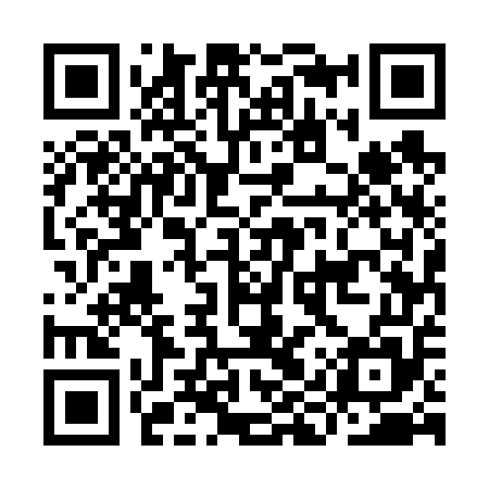 QR code for IIU655
