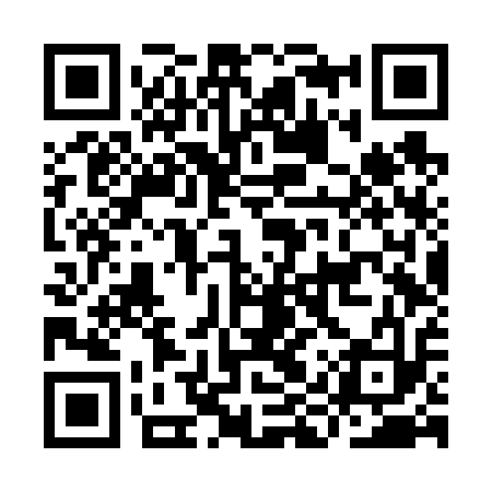 QR code for IIVV13