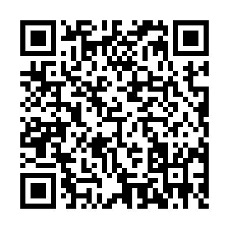 QR code for IJ419