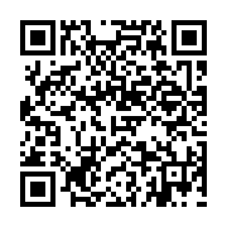 QR code for IJDQ94
