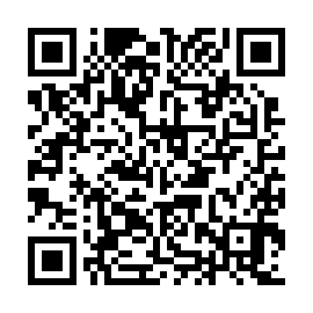 QR code for IJVR90