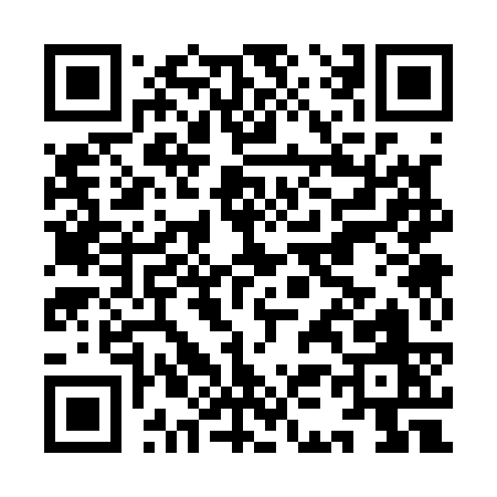 QR code for IK313