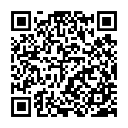 QR code for IMMV87