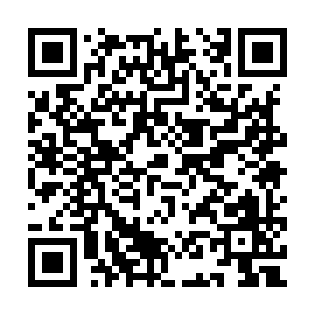 QR code for IN199