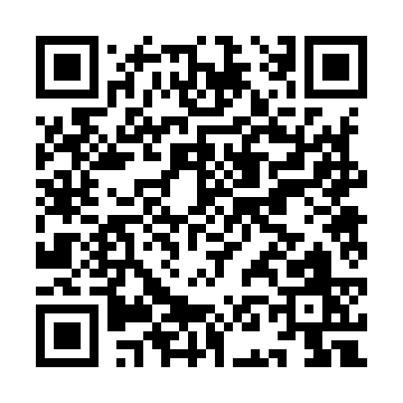QR code for IN293