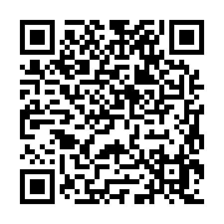 QR code for IO318