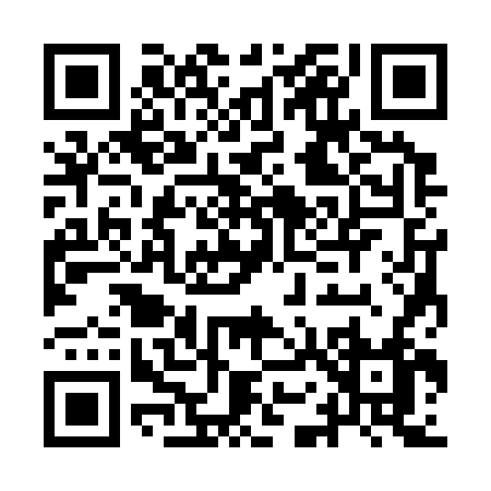 QR code for IO336