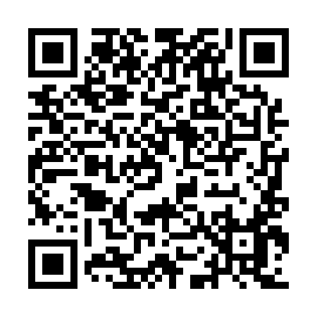 QR code for IO419