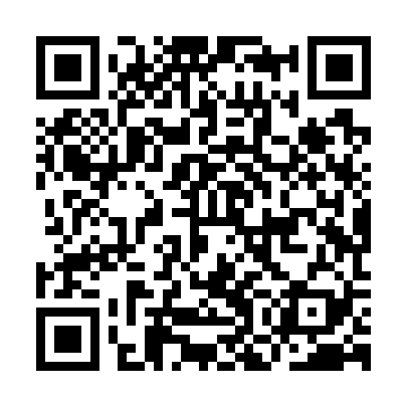 QR code for IOHW29