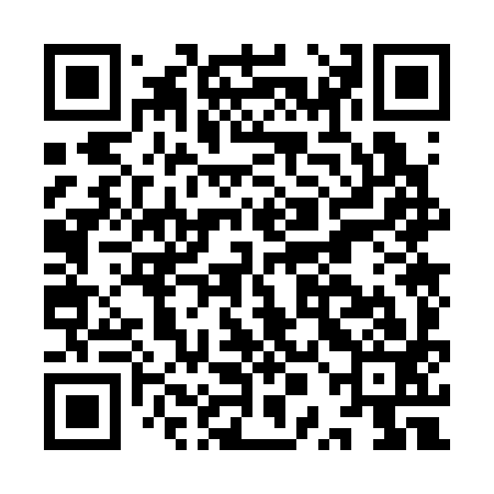 QR code for IPO393