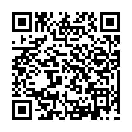 QR code for IR234