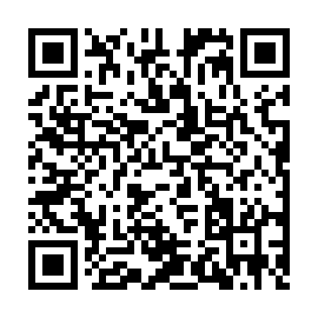 QR code for IR251