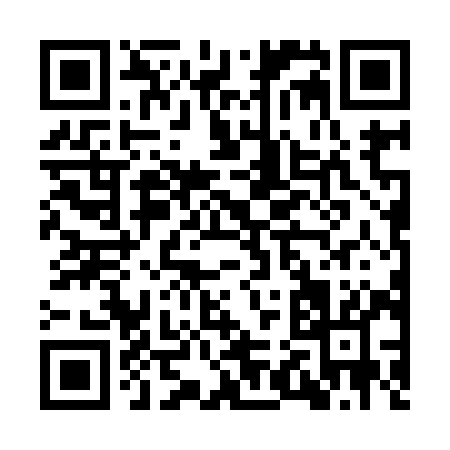 QR code for IR699