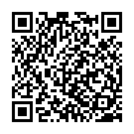 QR code for IRAL49