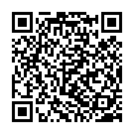 QR code for IRIT09