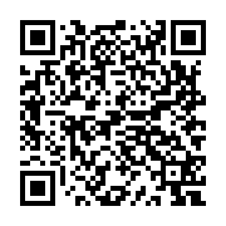 QR code for IRNI20