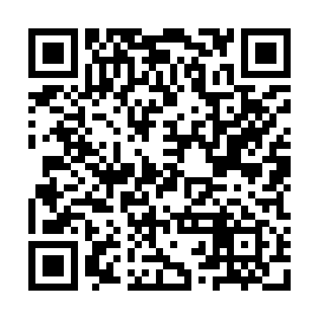 QR code for IRO919