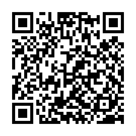 QR code for IRRD20