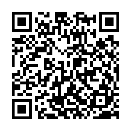 QR code for IRYG22