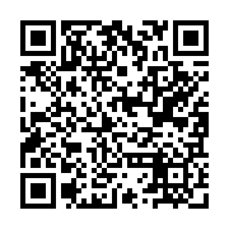 QR code for IVOG29