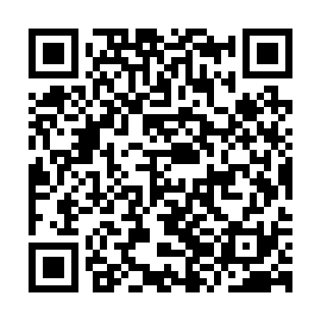 QR code for IZMR31
