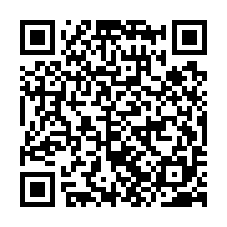 QR code for IZUG95