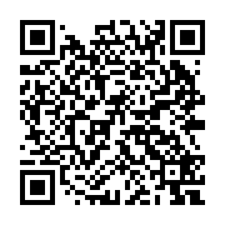 QR code for JNIR29