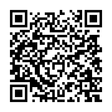 QR code for LI203