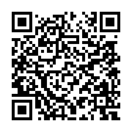 QR code for LI309
