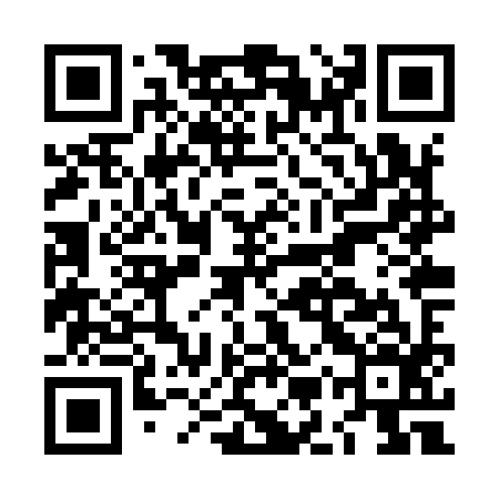 QR code for LMZY96