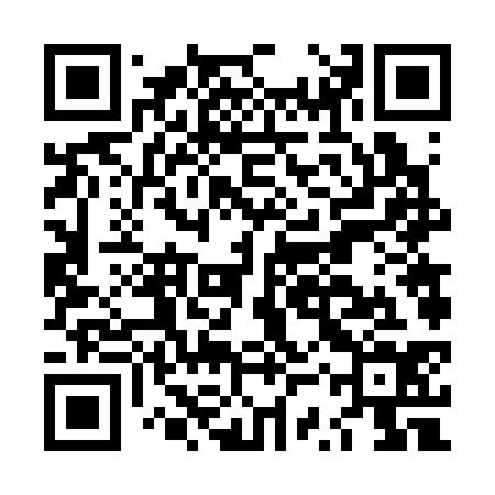 QR code for LSV334