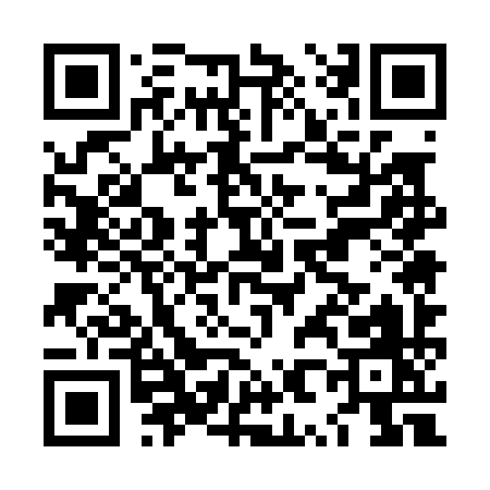 QR code for LX509