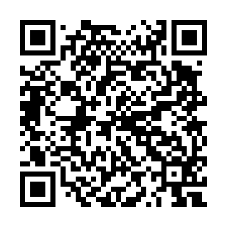 QR code for LYS496