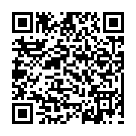 QR code for LZ295