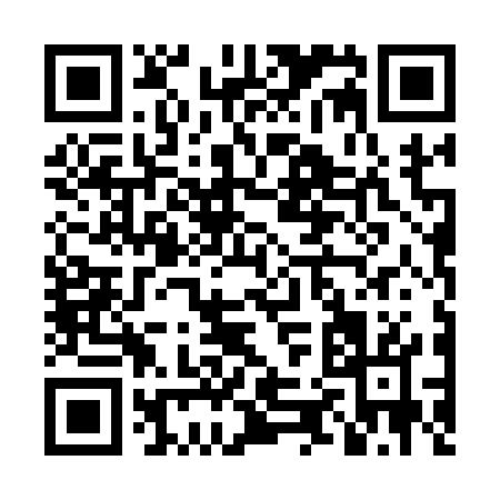 QR code for LZ417
