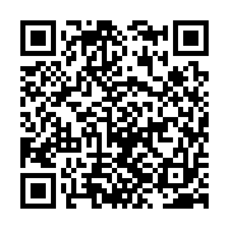 QR code for LZI313