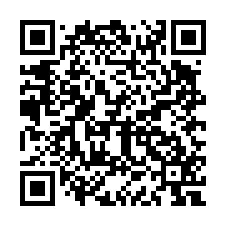 QR code for MAED17
