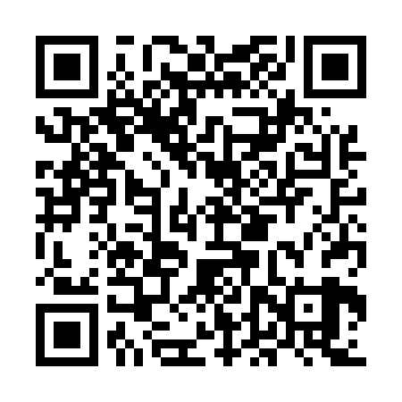 QR code for MDSE29