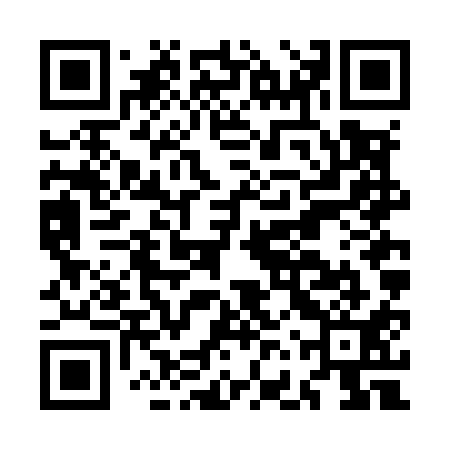 QR code for MFVM11