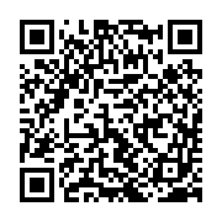 QR code for MIR253