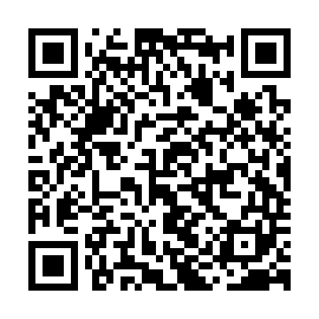 QR code for MIRC41