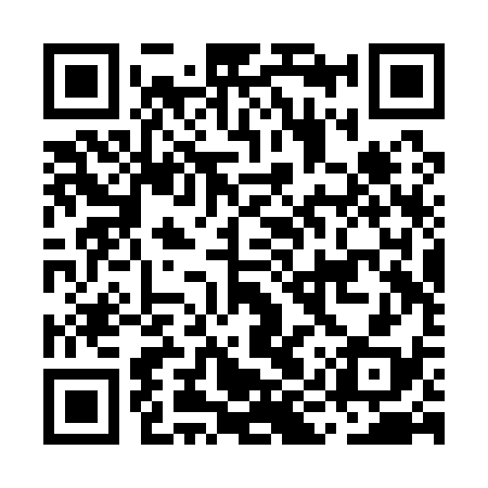 QR code for MIRQ38