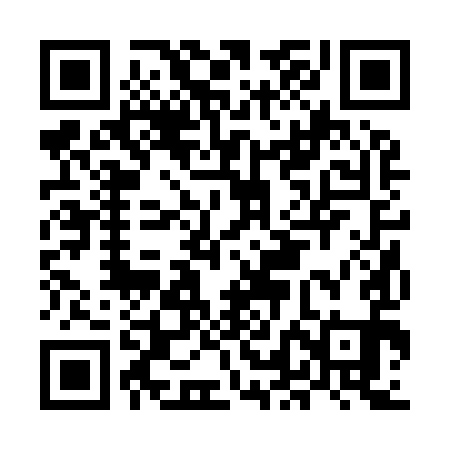 QR code for MLB991
